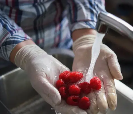 Higiene en Alimentos
